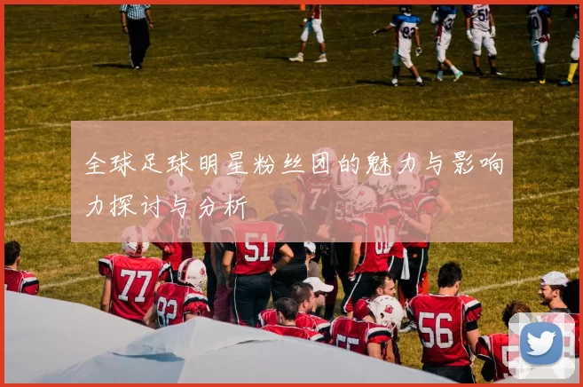 全球足球明星粉丝团的魅力与影响力探讨与分析