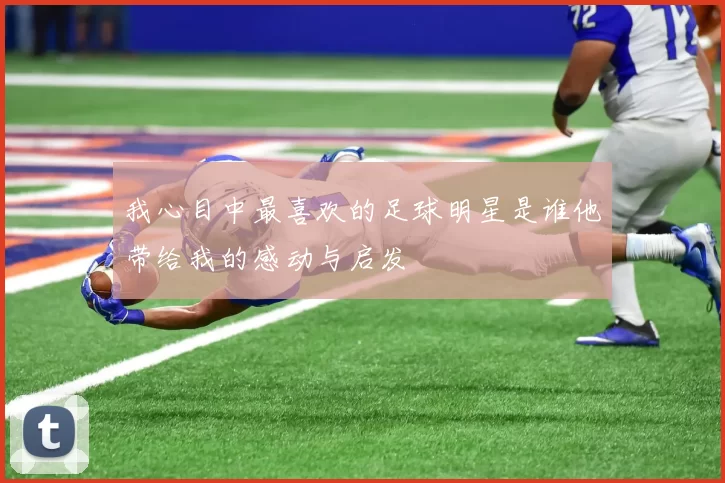 我心目中最喜欢的足球明星是谁他带给我的感动与启发
