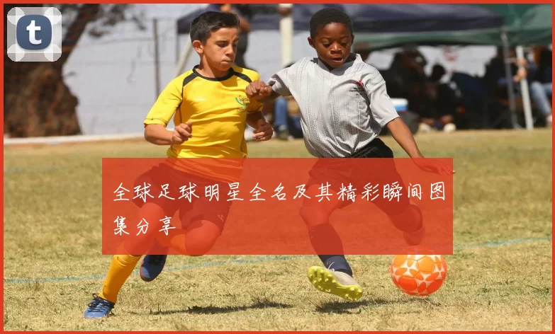 全球足球明星全名及其精彩瞬间图集分享