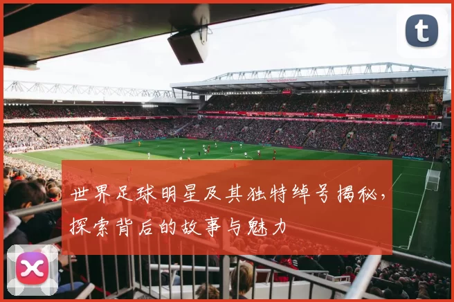 世界足球明星及其独特绰号揭秘，探索背后的故事与魅力