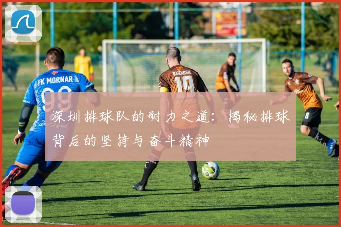 深圳排球队的耐力之道：揭秘排球背后的坚持与奋斗精神