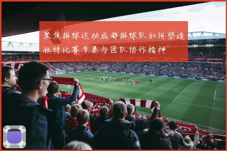 聚焦排球运动成都排球队如何塑造独特比赛节奏与团队协作精神