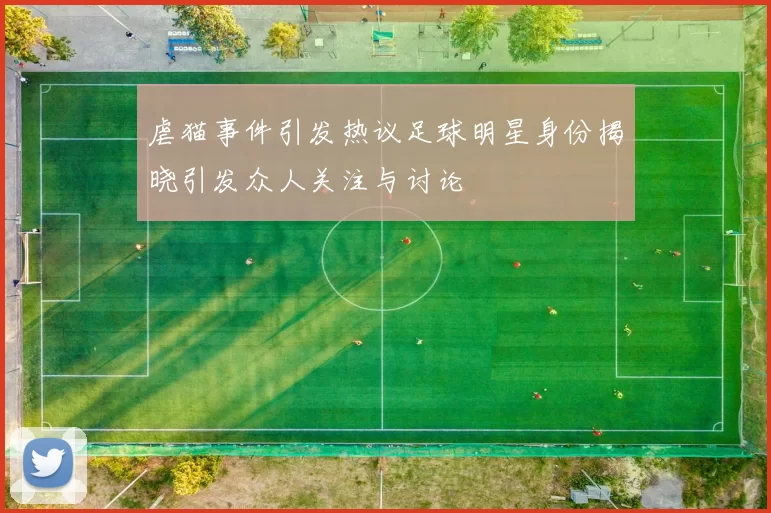 虐猫事件引发热议足球明星身份揭晓引发众人关注与讨论